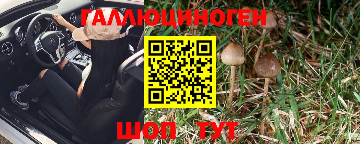 Галлюциногенные грибы Magic Shrooms  Вход с VPN  Губкин 