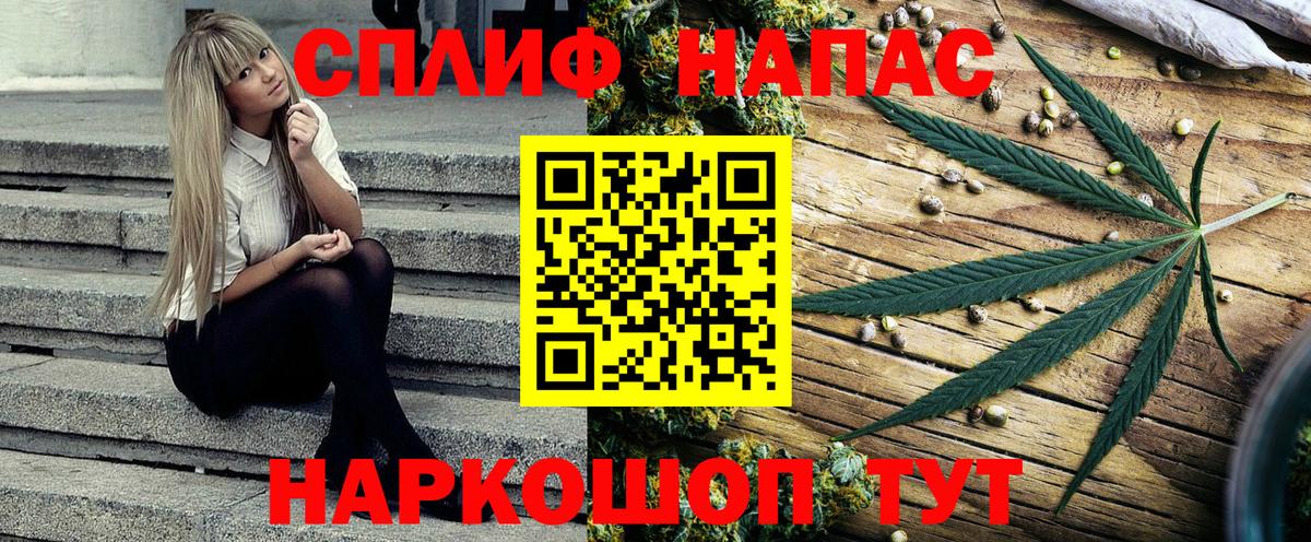 Канабис MAZAR Губкин